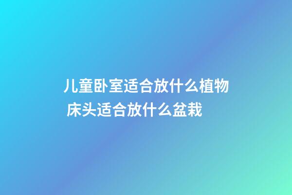 儿童卧室适合放什么植物 床头适合放什么盆栽